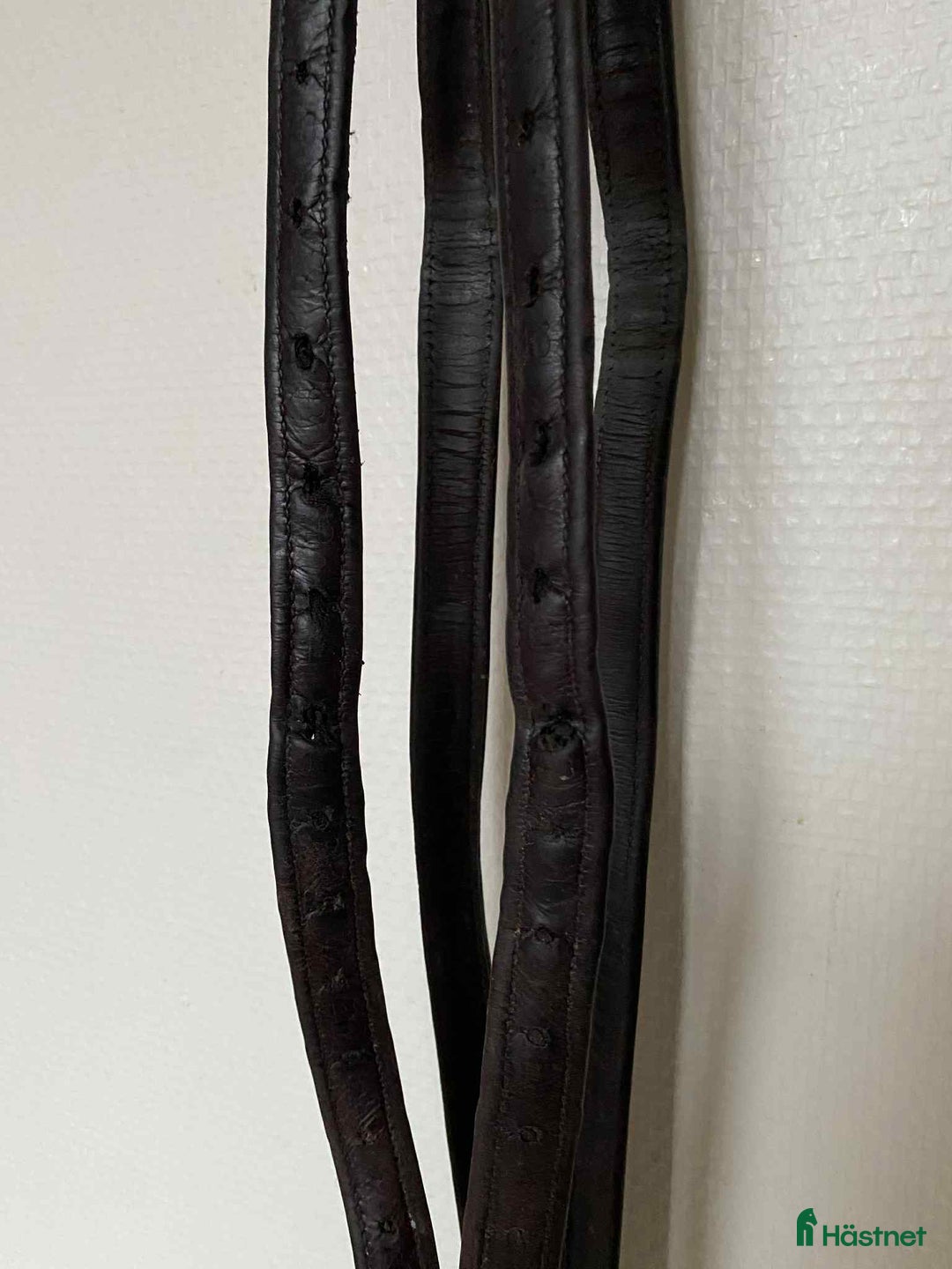 Övrig Hästutrustning hästutrustning till salu: Massa utrustning! i Lund - Annons 2