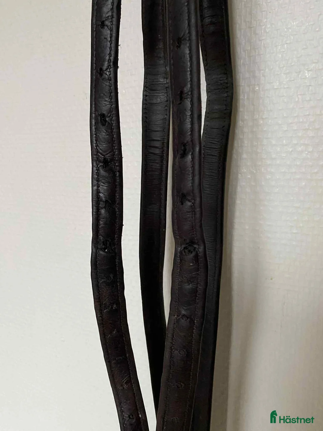 Övrig Hästutrustning hästutrustning till salu: Massa utrustning! i Lund - Annons 2