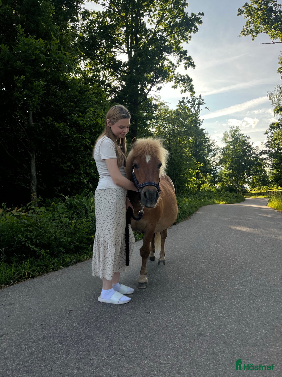 Galleribild {{count}}