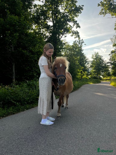 Galleribild {{count}}