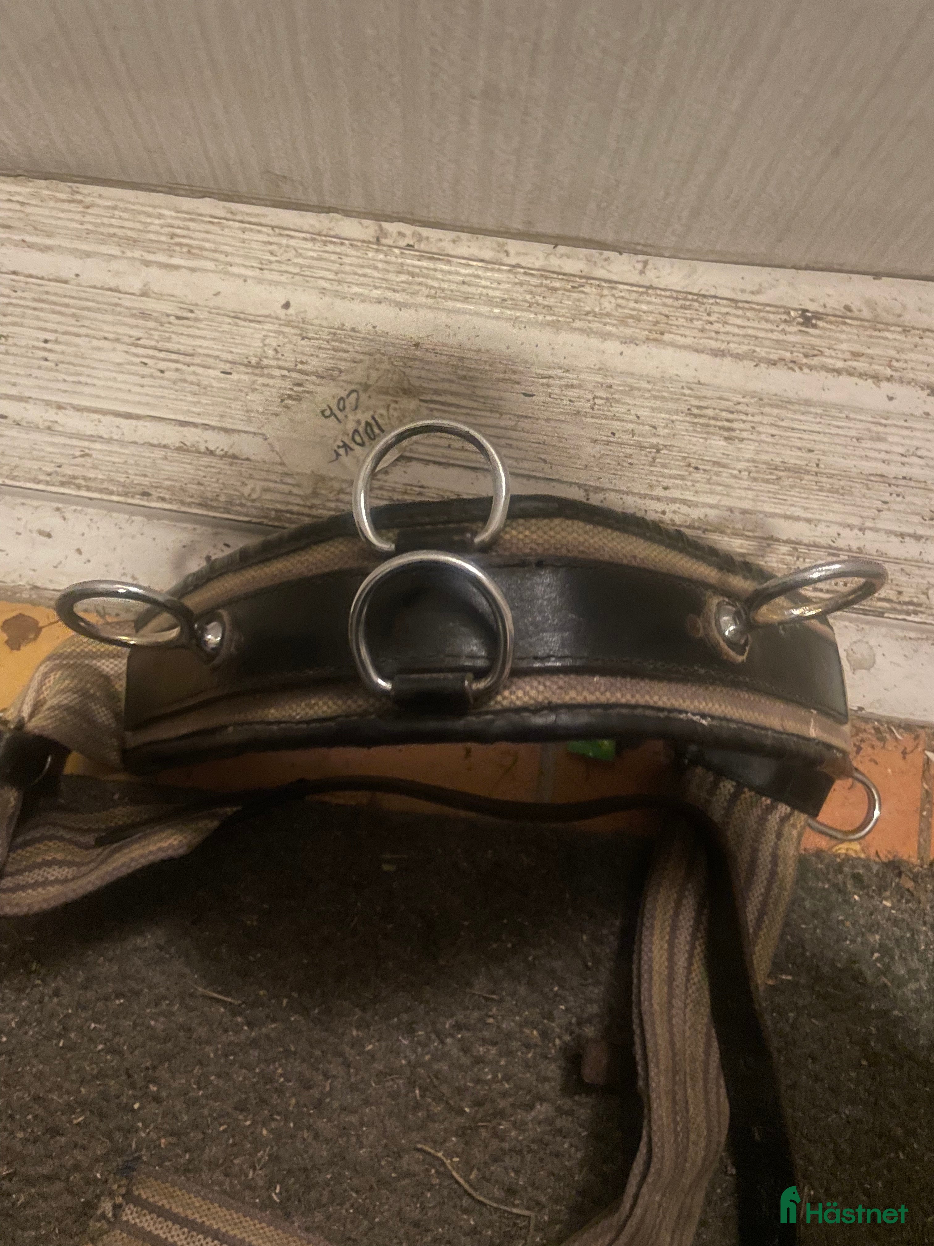 Övrig Hästutrustning hästutrustning till salu: Tömkörningsgjord! i Gävle - Annons 21