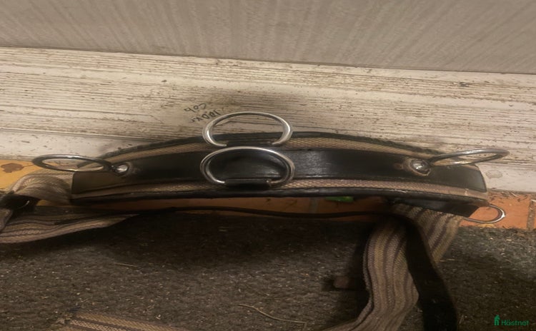 Övrig Hästutrustning hästutrustning till salu i Gävle - Annons 20