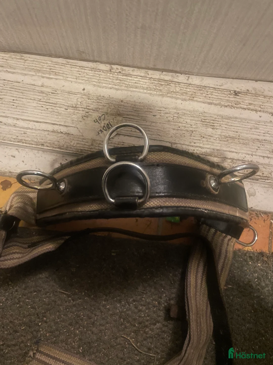 Övrig Hästutrustning hästutrustning till salu: Tömkörningsgjord! i Gävle - Annons 1