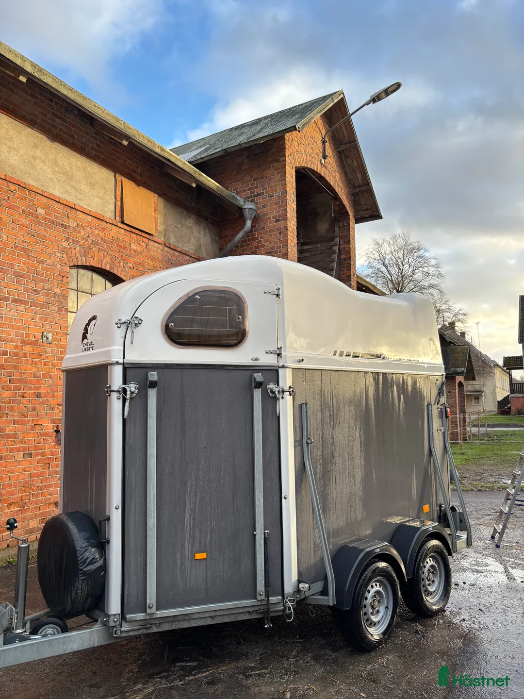 Hästtransporter  fordon & transport till salu: Cheval gold  i Karlshamn - Annons 1