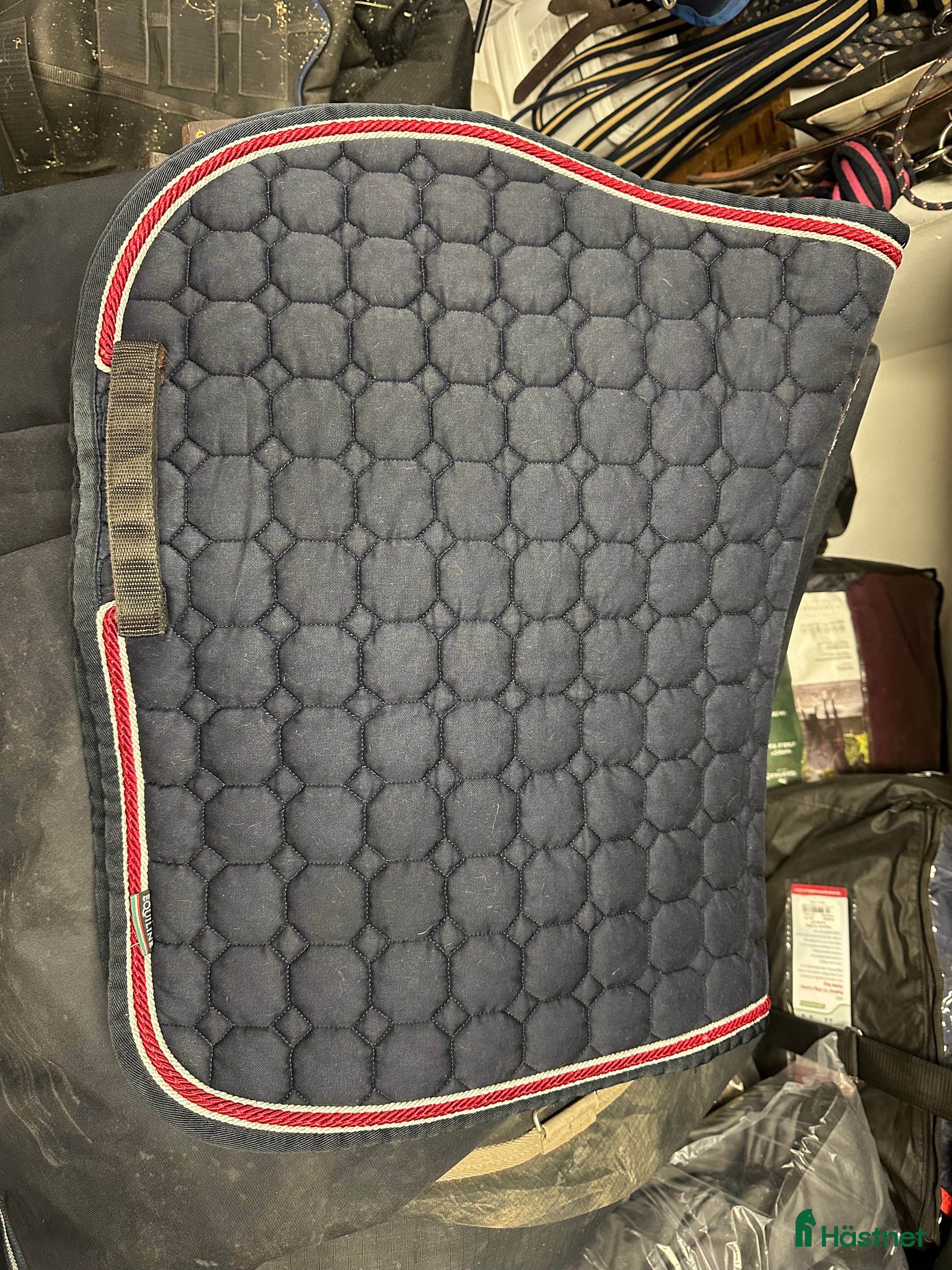 Schabrak & Vojlockar hästutrustning till salu: Equiline och Trolle schabrak säljes i Bollnäs - Annons 11