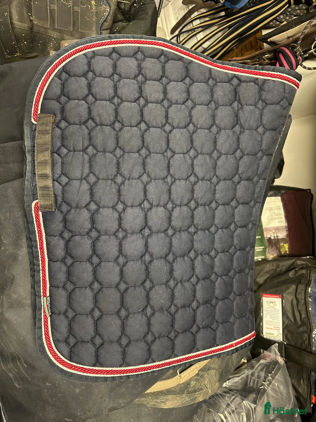 Schabrak & Vojlockar hästutrustning till salu: Equiline och Trolle schabrak säljes - Annons 1