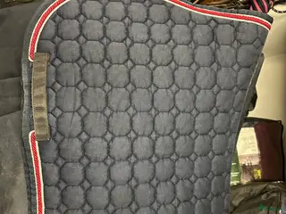 Schabrak & Vojlockar hästutrustning Equiline och Trolle schabrak säljes - Annons 6