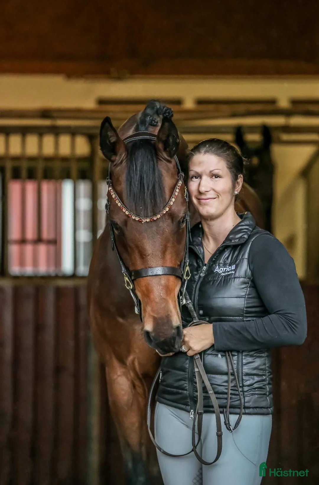  hästservice finnes: Massage  i Falkenberg - Annons 1