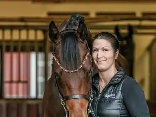 hästservice finnes: Massage i Falkenberg - Annons 1