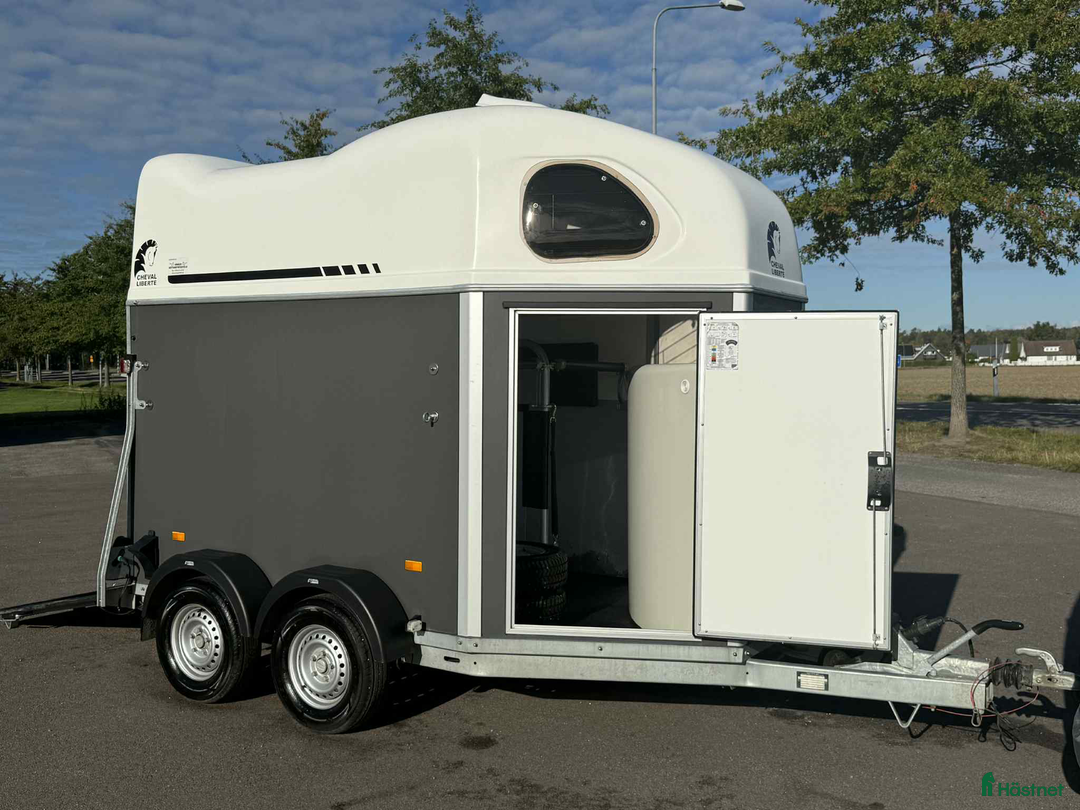 Hästtransporter  fordon & transport till salu: Cheval Liberté Gold nyskick 2022 avdragsgill moms! i Köping - Annons 3