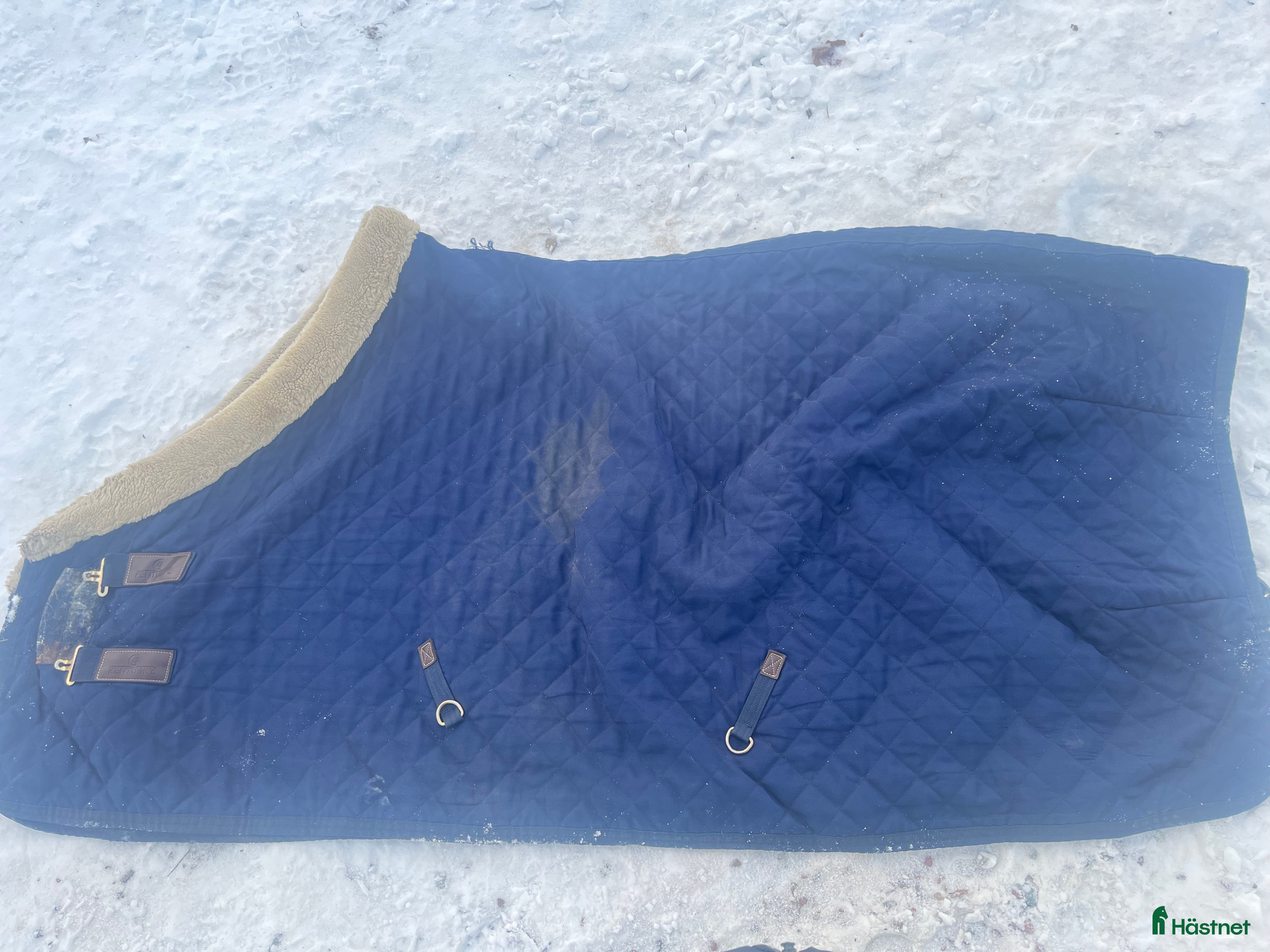 Täcken hästutrustning Kentucky täcke i Södertälje - Annons 7