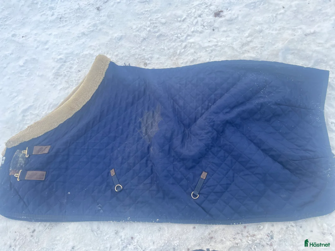 Täcken hästutrustning till salu: Kentucky täcke i Södertälje - Annons 1