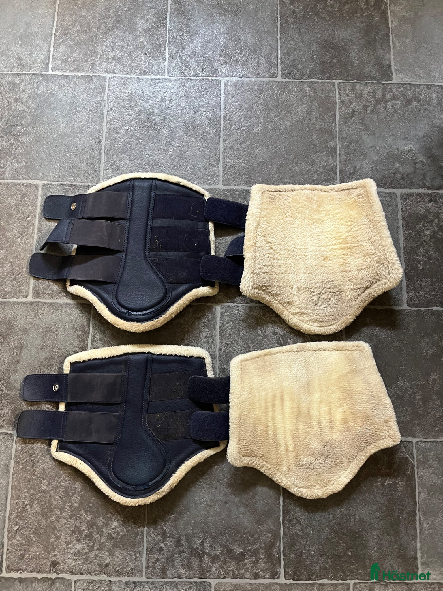 Benskydd hästutrustning Ps of sweden benskydd - Annons 2