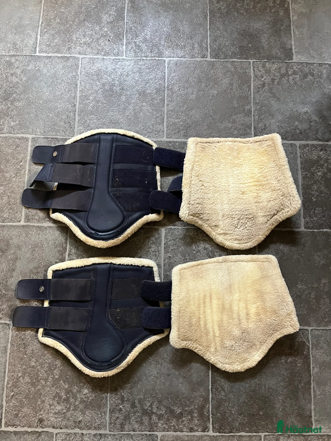 Benskydd hästutrustning till salu: Ps of sweden benskydd - Annons 1