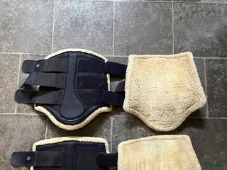 Benskydd hästutrustning Ps of sweden benskydd - Annons 2