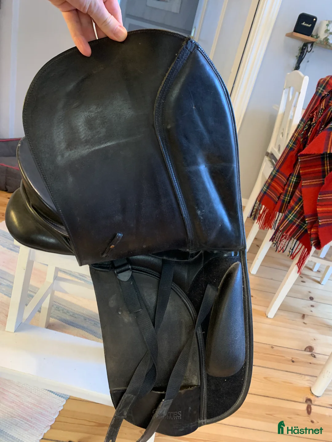 Sadlar hästutrustning till salu: Bates Maestro i Nynäshamn - Annons 6