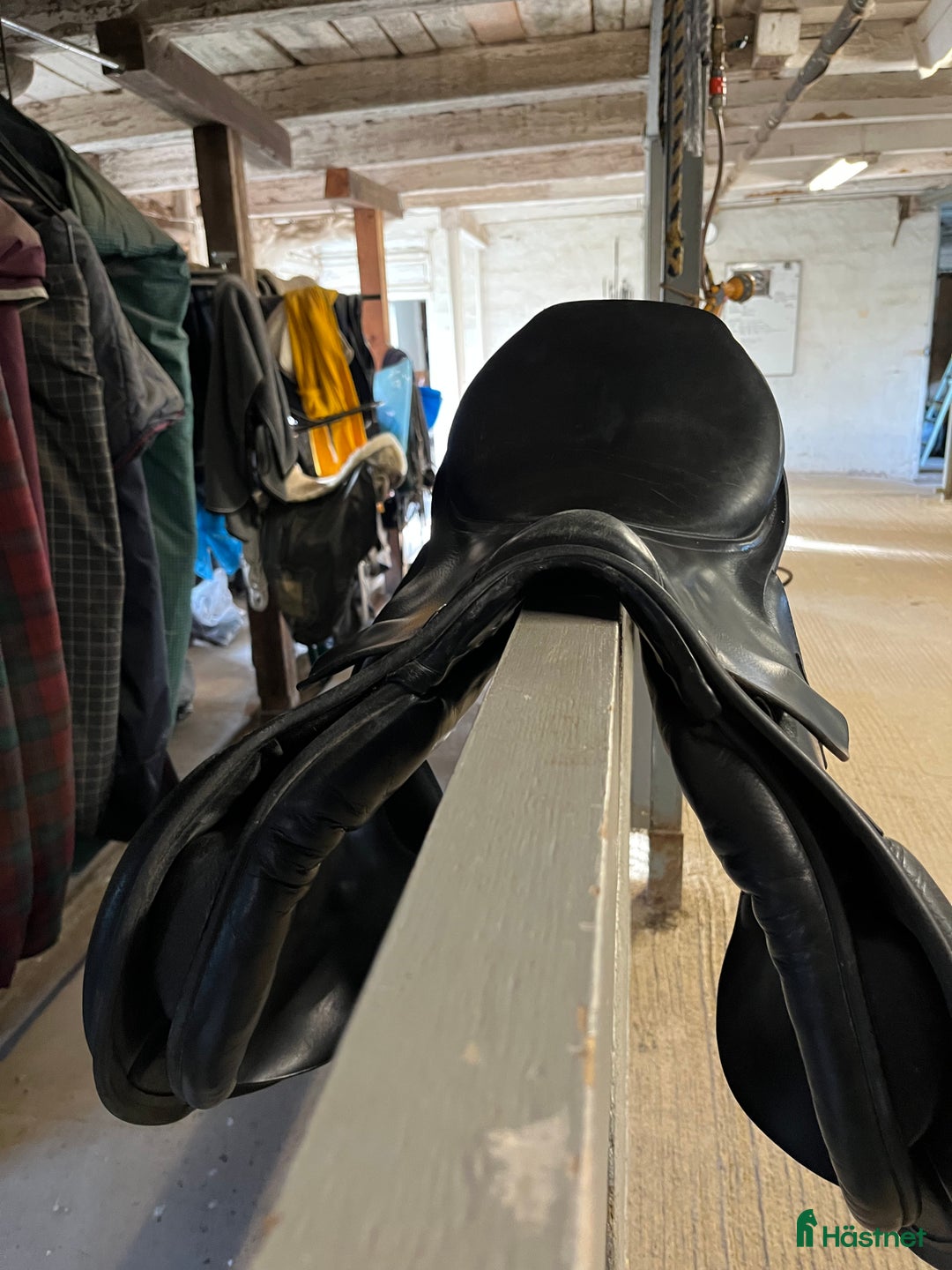 Sadlar hästutrustning till salu: Horsehead Sirius i Märsta - Annons 2