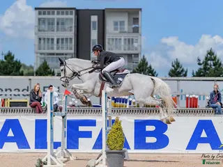 hästar Trevlig hobby/tävlingshäst - Annons 17