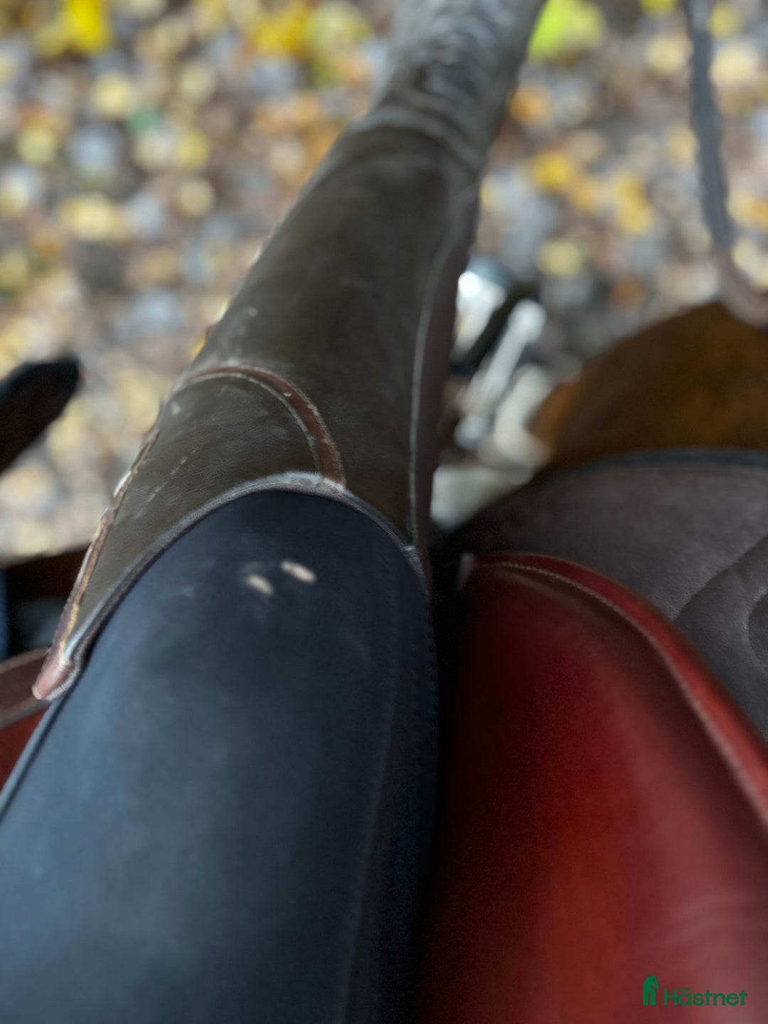 Ridbyxor ryttarutrustning till salu: Samshield ridbyxor  i Tierp - Annons 3