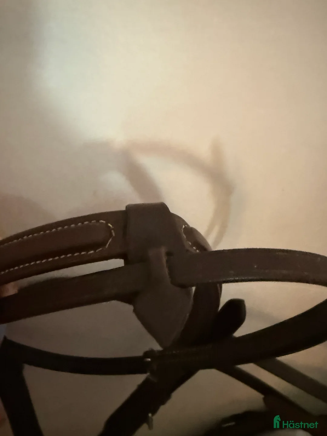 Träns hästutrustning till salu: Oanvänt Horsehead träns i Fjärås - Annons 5