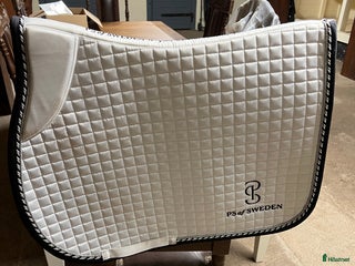 Schabrak & Vojlockar hästutrustning till salu: Ps of Sweden schabrak i Lidköping - Annons 3