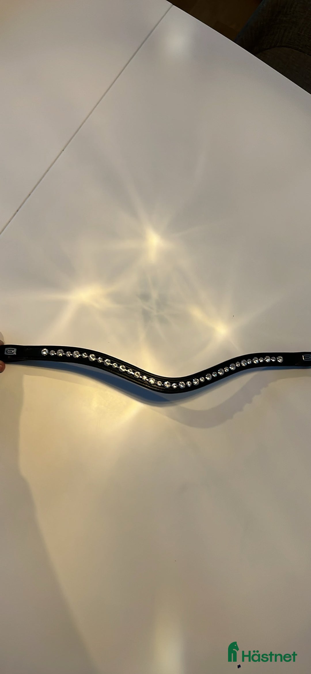 Träns hästutrustning till salu: Pannband  i Linköping - Annons 1