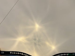 Träns hästutrustning till salu i Linköping - Annons 40