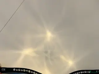 Träns hästutrustning Pannband i Linköping - Annons 3