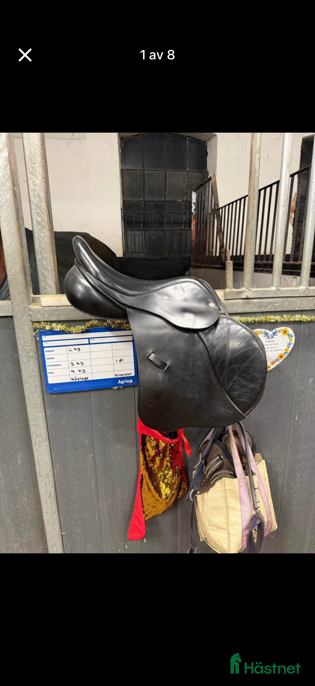 Sadlar hästutrustning till salu: Hoppsadel  i Trelleborg - Annons 1