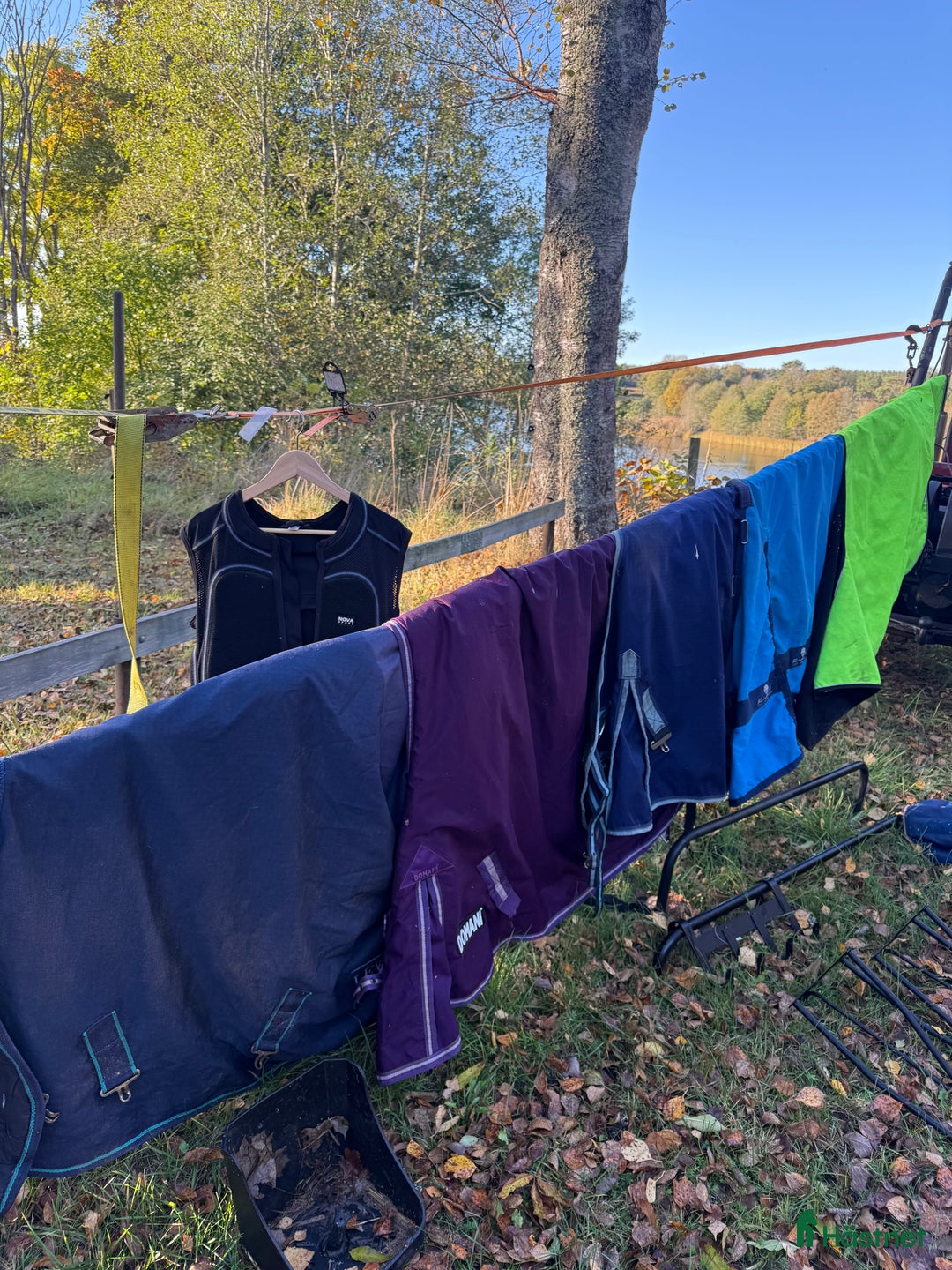  stallplats finnes: Shettis sadel i Skutskär - Annons 2