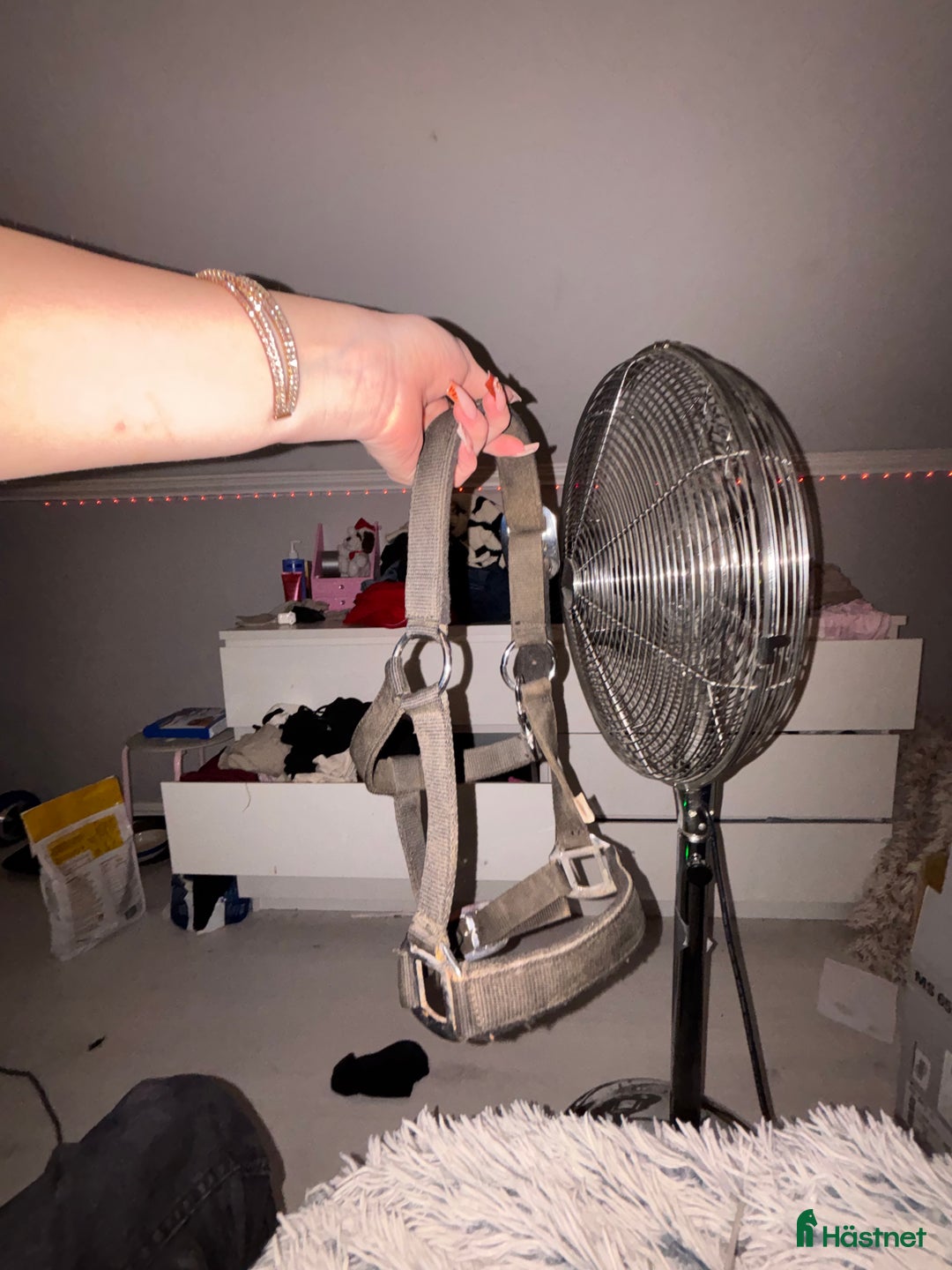 Övrig Hästutrustning hästutrustning till salu: Grimma i Fristad - Annons 2