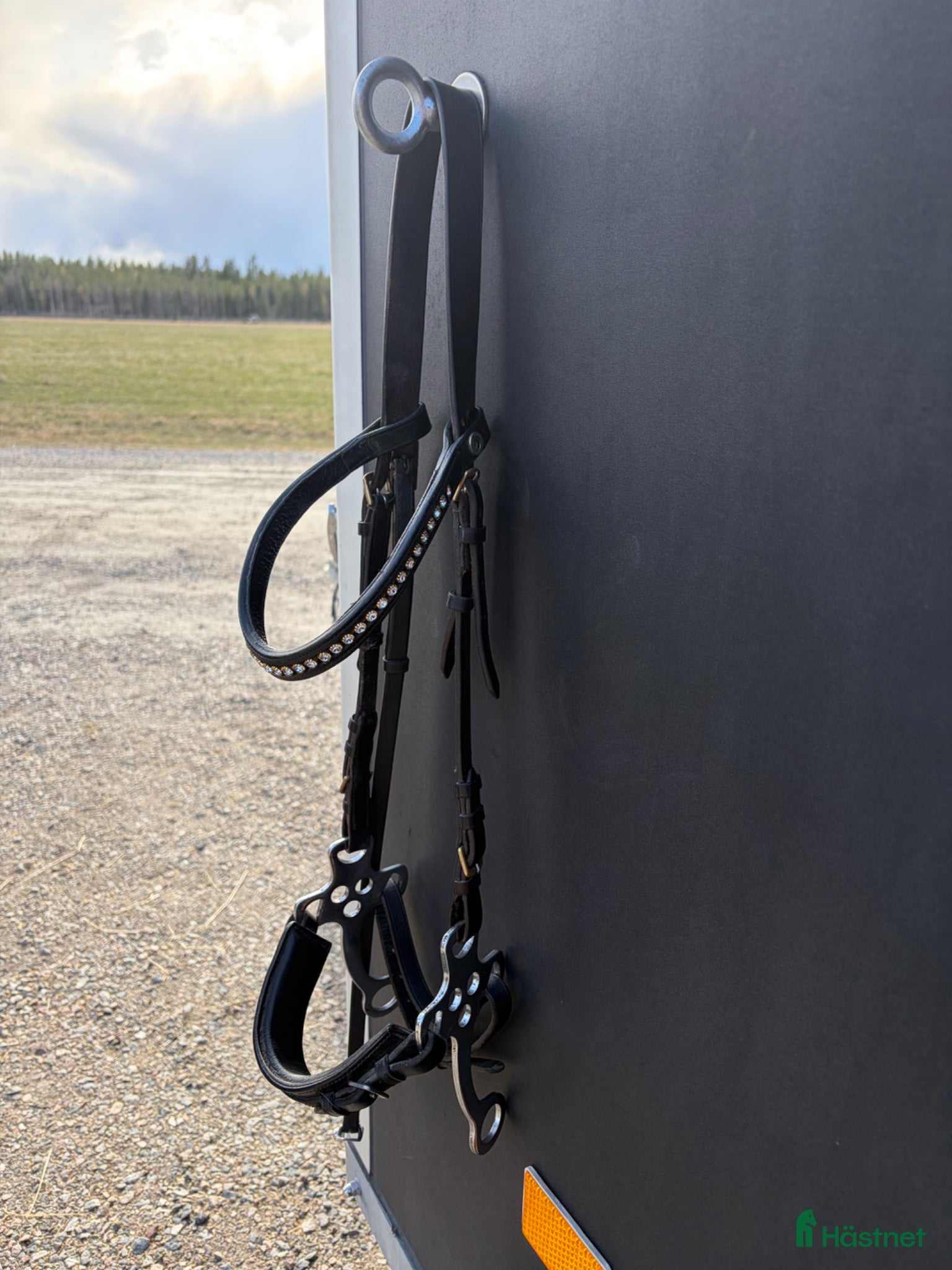 Träns hästutrustning Hackamore  - Annons 1