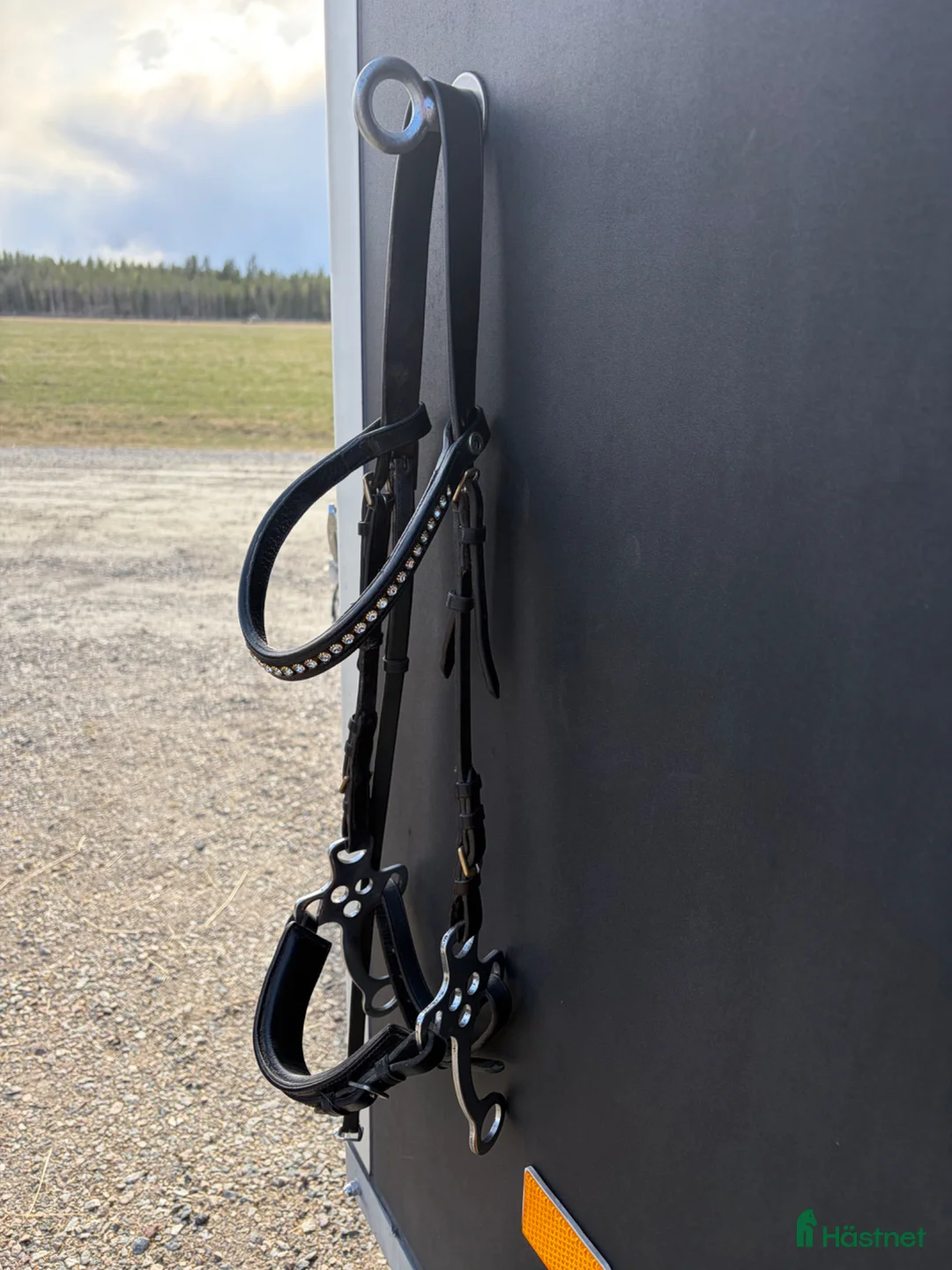 Träns hästutrustning till salu: Hackamore  - Annons 1