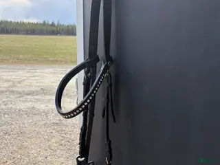 Träns hästutrustning Hackamore - Annons 1
