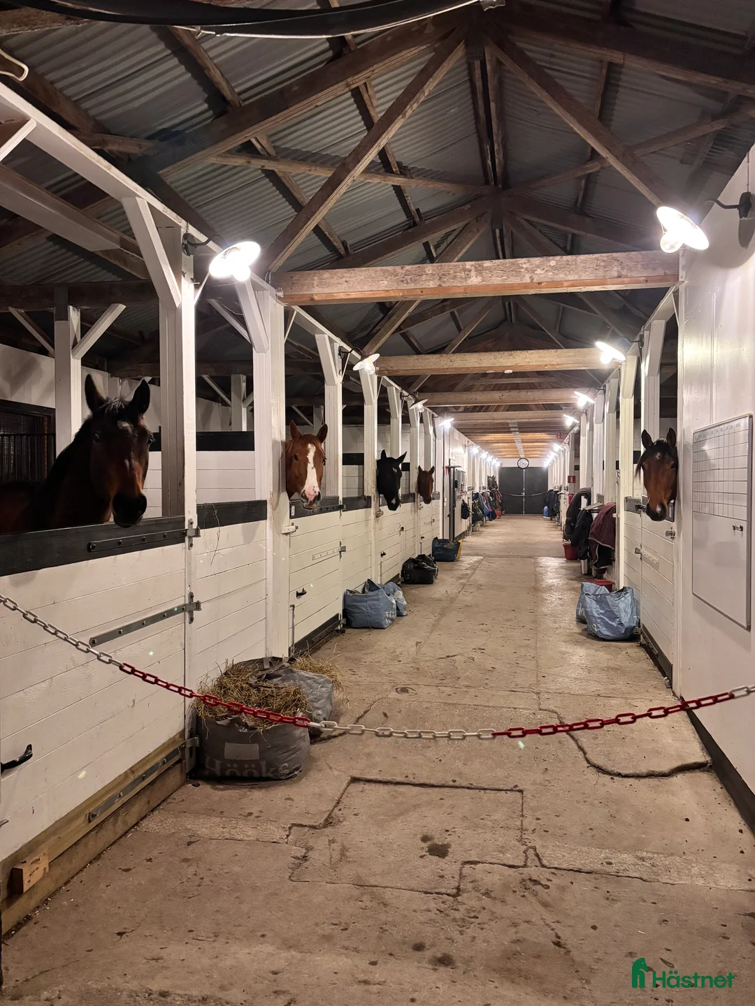  hästservice finnes: Lediga platser finns för häst i träning - Annons 3