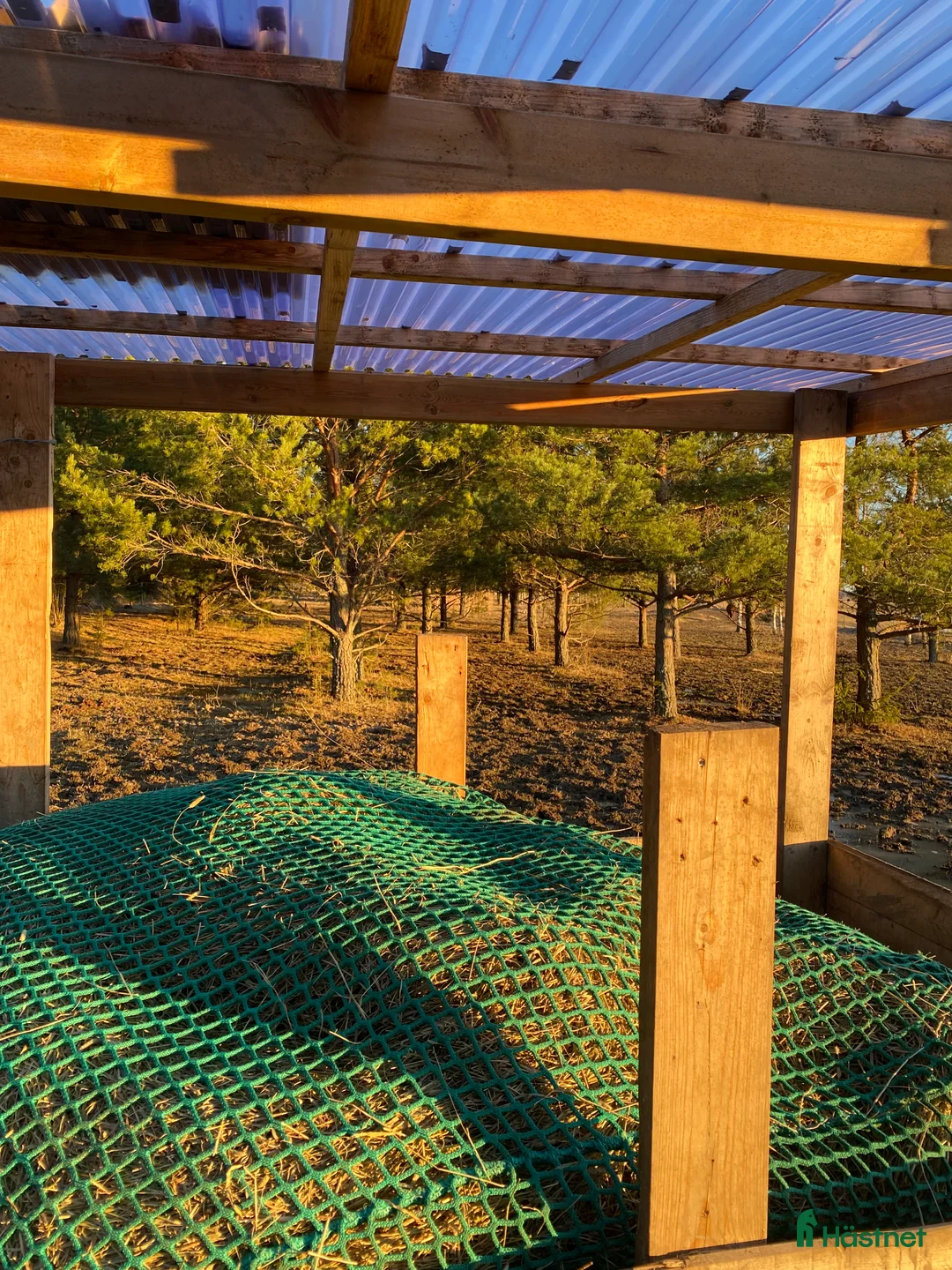  stallplats finnes: Lösdrift dräktiga ston  i Enköping - Annons 4