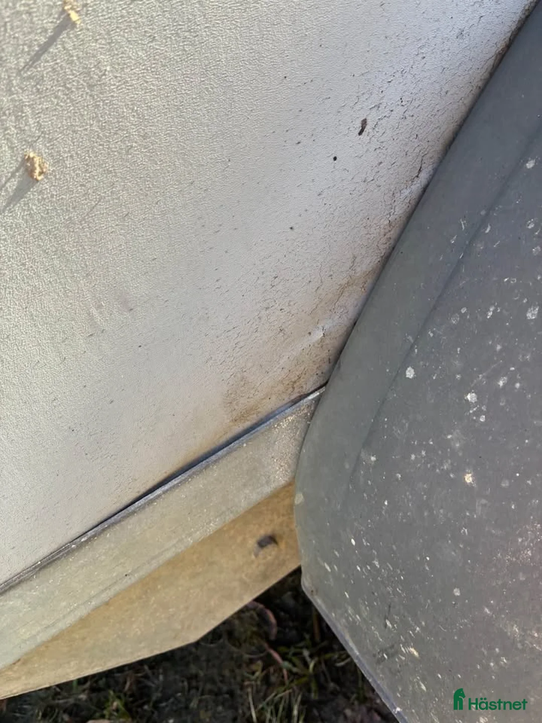 Hästtransporter  fordon & transport till salu: Fin transport med lite skönhetsfel - Annons 2