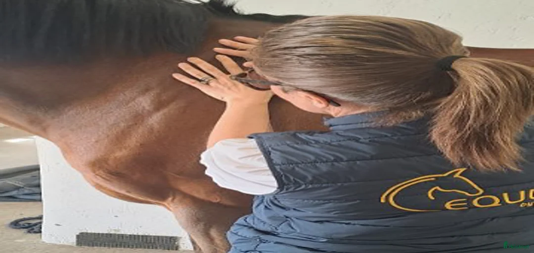 Galleribild {{count}}