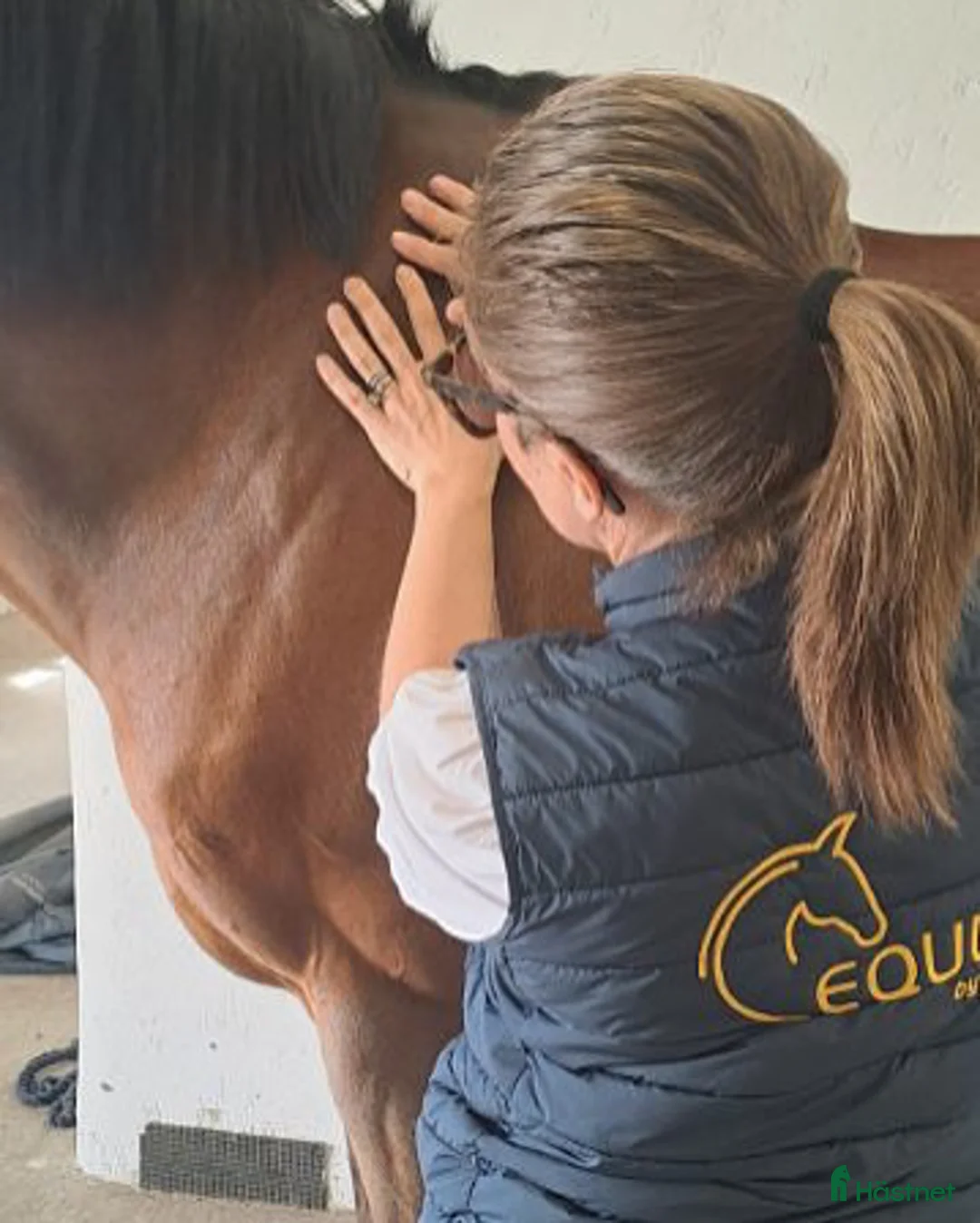 Galleribild {{count}}