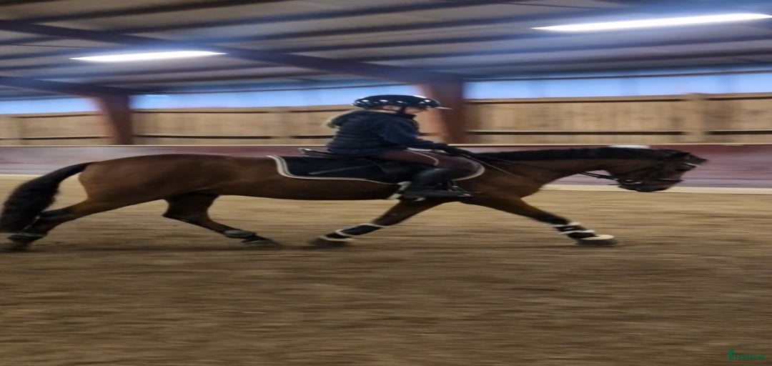 Galleribild {{count}}