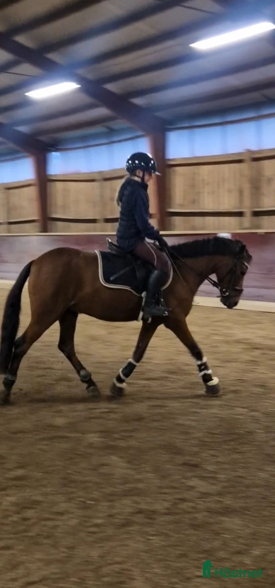 Galleribild {{count}}