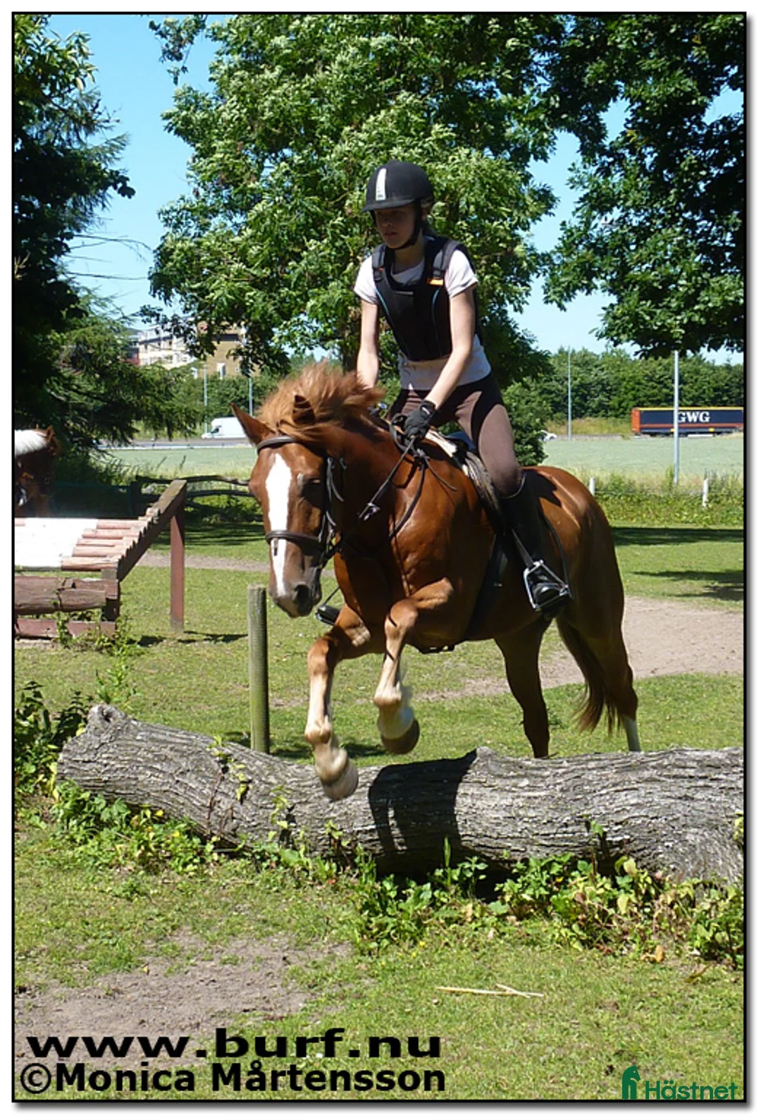  stallplats finnes: "All inclusive" stall nära Malmö/Lund i Åkarp - Annons 4