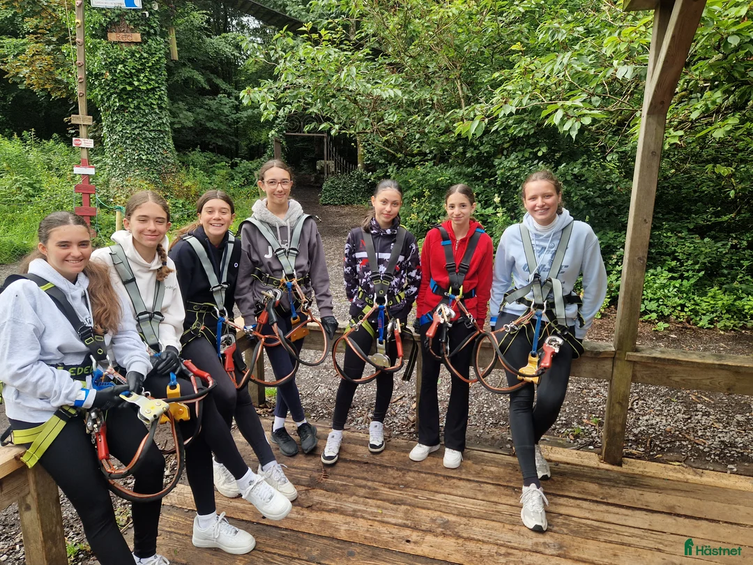 Dressyr hästar till salu: Equestrian holiday in Ireland  - Annons 17