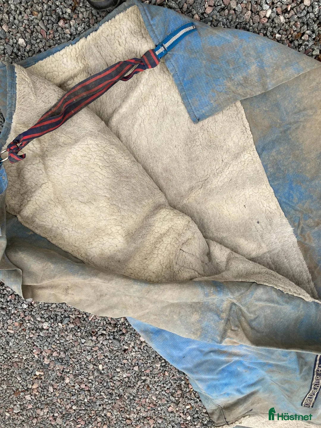 Täcken hästutrustning till salu: Vinter täcke - Annons 2