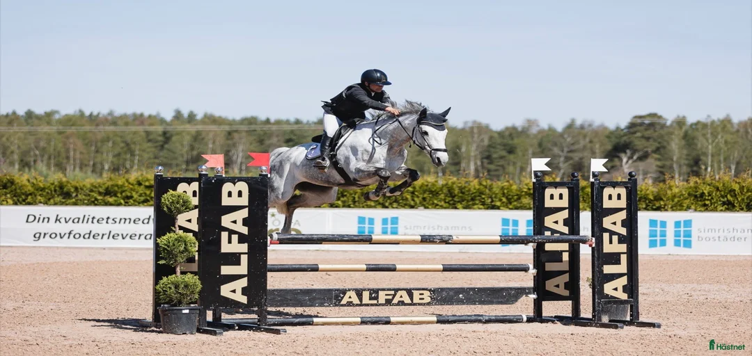 Galleribild {{count}}