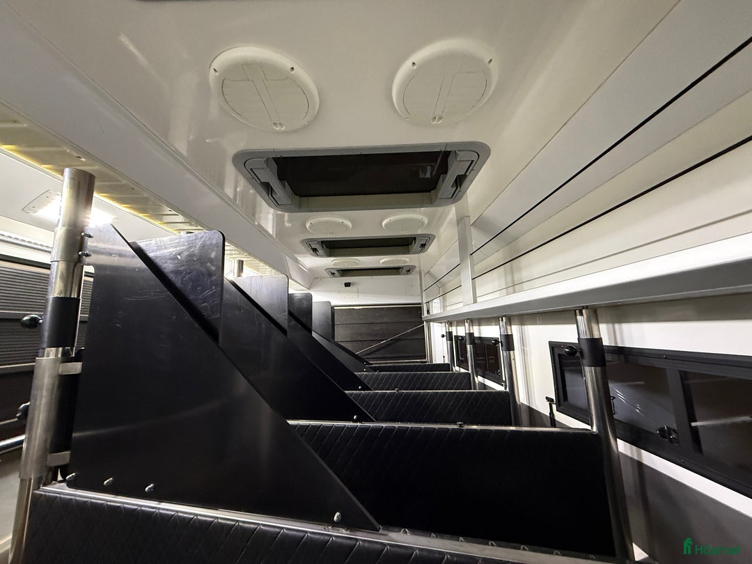 Hästlastbilar  fordon & transport till salu: Exklusiv 6-hästars Scania hästlastbil Horsepartner i Laholm - Annons 18