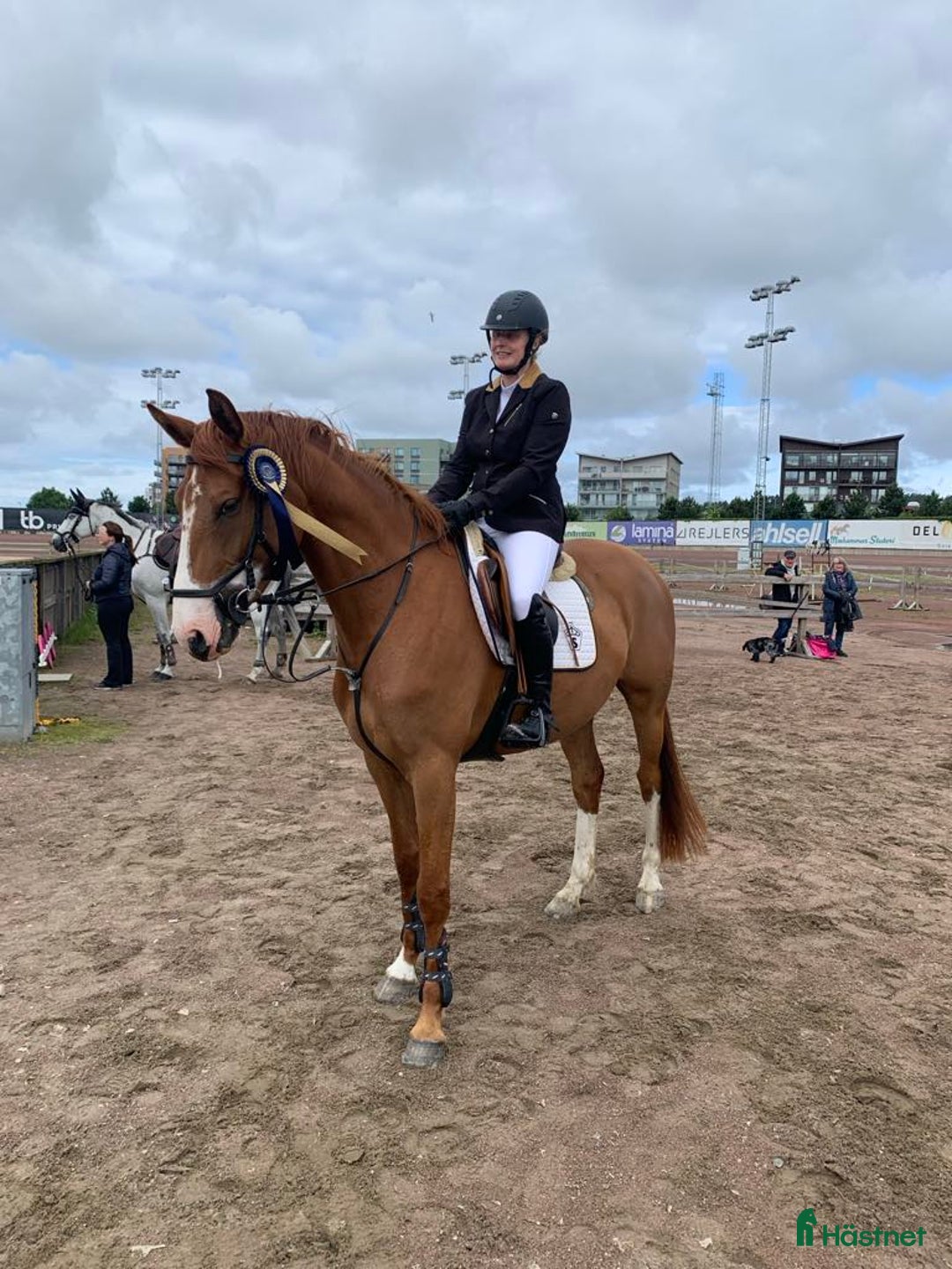 Allround hästar till salu: Hon älskar att hoppa ❤️ i Kungsbacka - Annons 2