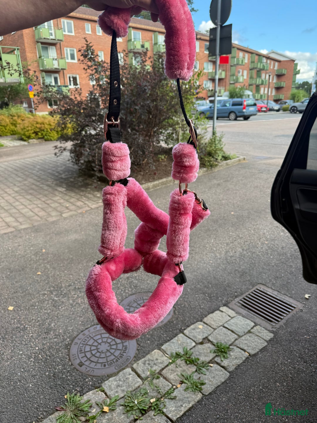 Övrig Hästutrustning hästutrustning till salu: Rosa päls grimma i Borås - Annons 1