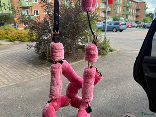 Övrig Hästutrustning hästutrustning till salu: Rosa päls grimma i Borås - Annons 2
