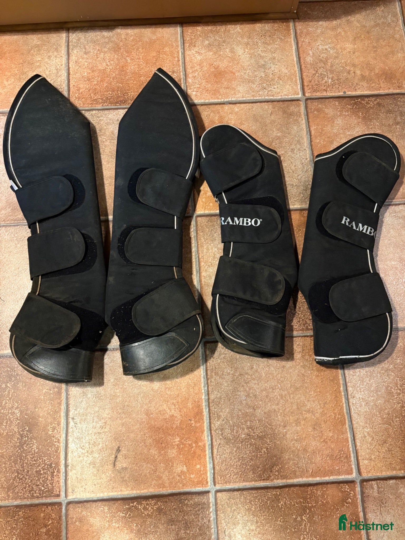 Benskydd hästutrustning Transportskydd från Horseware - Rambo - Annons 2
